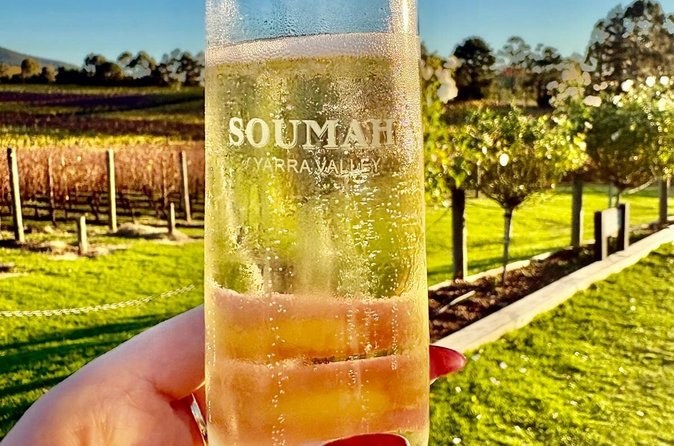 A glass of sparkling wine etched with the Soumah name, held up over the vine rows