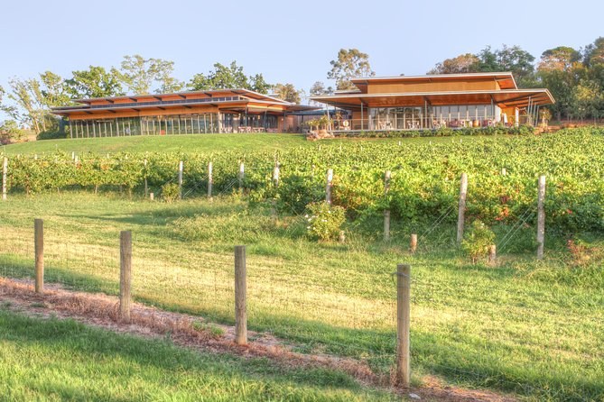 A winery restaurant with long, low roofs on the rise above a hillside of vines