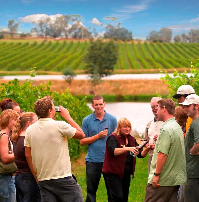Melbourne: Full-Day Yarra Valley Wine Experience with Lunch